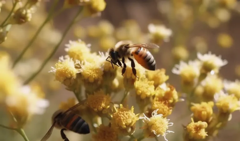 Abejas en una flor